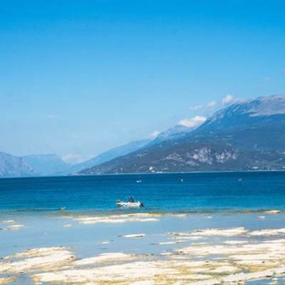 声称“保本保收益”的信托产品爆雷,代销银行被判赔8%!